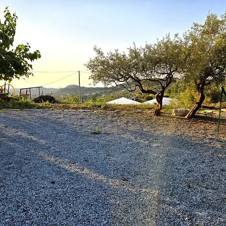 O Lauru - Proppro Srl Lantgård Santa Lucia del Mela